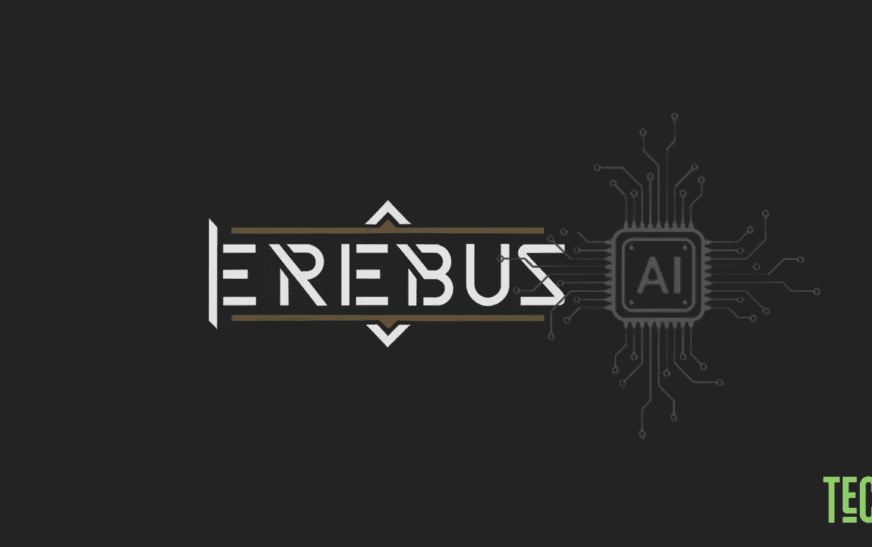 How to Use Erebus AI Online and Offline